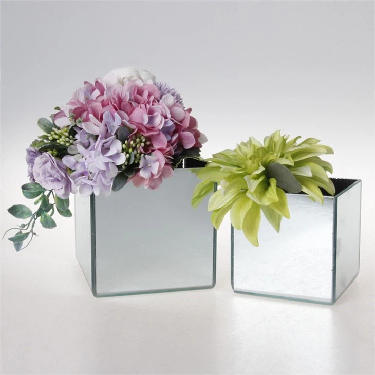 Cube Square Plant Hydroponic Glass Flower Vase