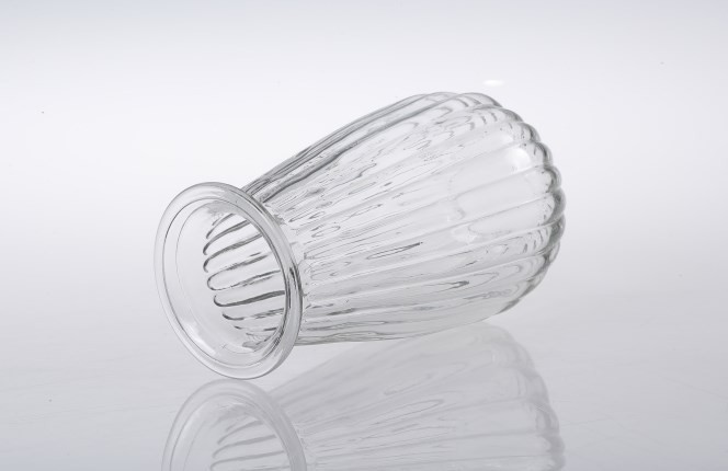 Strip Glass Vase For Flower